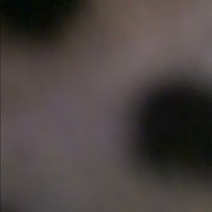 Meet your Posher, Chloe